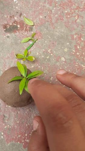 FB_IMG_1628060048077