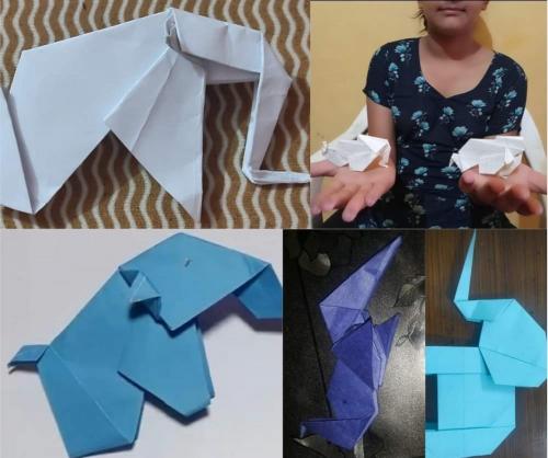 FB_IMG_1628061002943